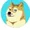 crazy doge