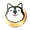 siberian husky