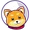 moon doge token