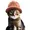 cat wif hat