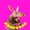 aardvark