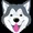 alaska inu
