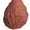 ballsack