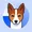 basenji