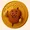 bbqcoin