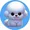 bichon