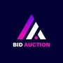 bid auction