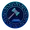 bidz coin