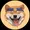 bitdoge