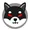 black shiba inu