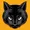 blackcat