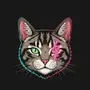 blockchain stray