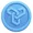 bluelink token