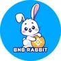 bnb rabbit bsc