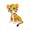 bnb tiger inu