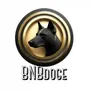 bnbdoge