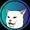 booshi inu