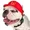 brokie inu