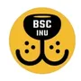 bsc inu