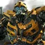 bumblebee