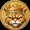 cat coin dex