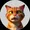 cat moggy