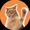 catslap