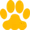 cougar coin