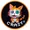 crazy cat