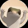 dancing lizard coin