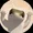 dancing lizard coin