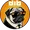 dibyield