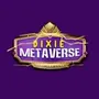 dixie metaverse