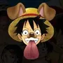 doge d. luffy