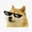 doge token