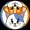 dogecat