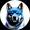 dogepay network