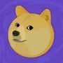 dogestorm