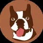 dogonswap