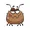 dogtick