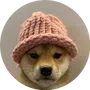 dogwifhat