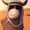 donkey
