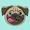 doug the pug