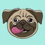 doug the pug