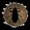 dung token