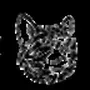felin token