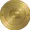 global digital coin