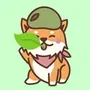 green doge token