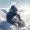 harambe