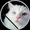 hebei the cat